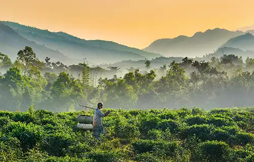Sylhet